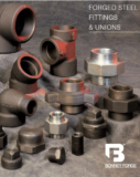 Forged Steel Fittings