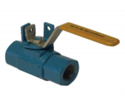 WKM Floating Ball Valve- 310 Series
